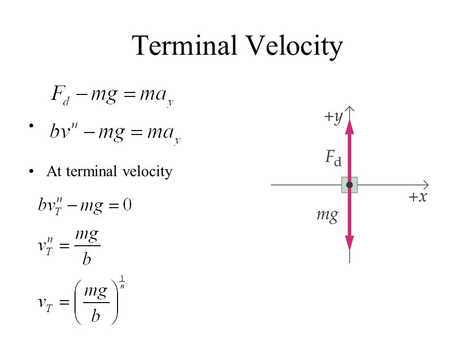 Terminal Velocity, Weight & Area - ppt download