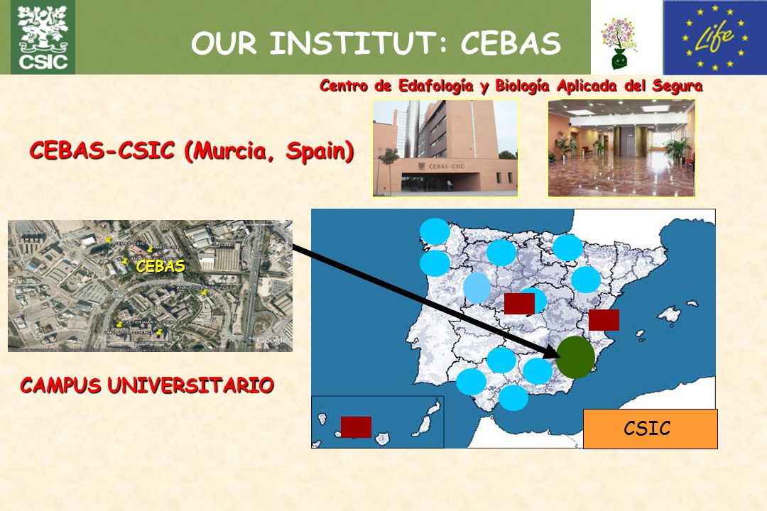 OUR INSTITUT: CEBAS CEBAS-CSIC (Murcia, Spain) CAMPUS UNIVERSITARIO