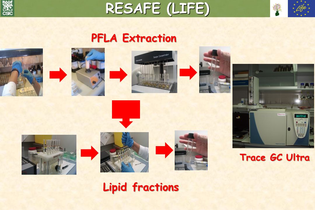 RESAFE (LIFE) PFLA Extraction Trace GC Ultra Lipid fractions