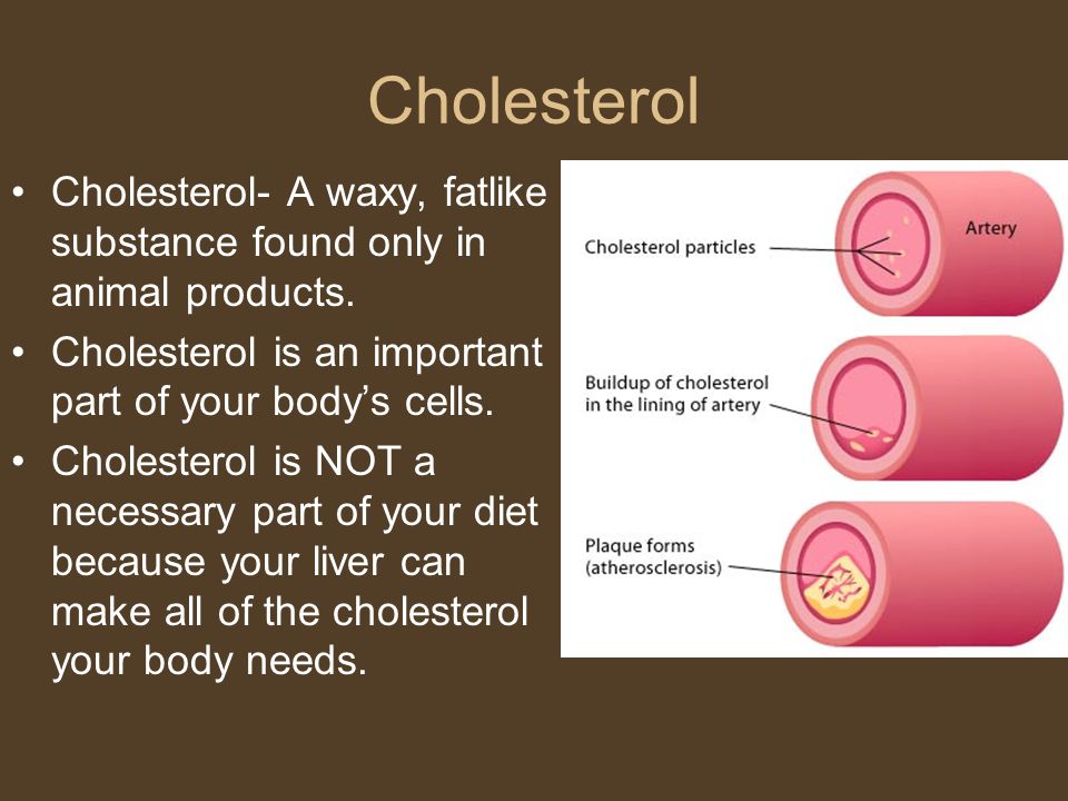 Cholesterol Cholesterol- A waxy, fatlike substance found only in animal products. Cholesterol is an important part of your body’s cells.