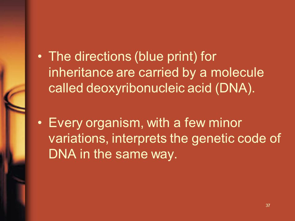 The directions (blue print) for inheritance are carried by a molecule called deoxyribonucleic acid (DNA).