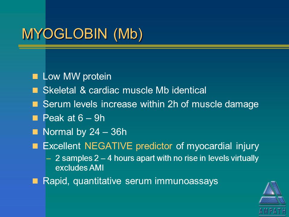 MYOGLOBIN (Mb) Low MW protein Skeletal & cardiac muscle Mb identical