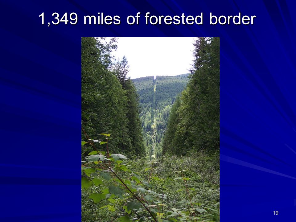 1,349 miles of forested border