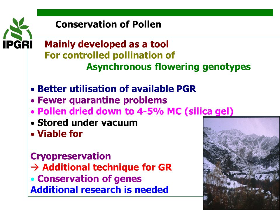 Conservation of Pollen