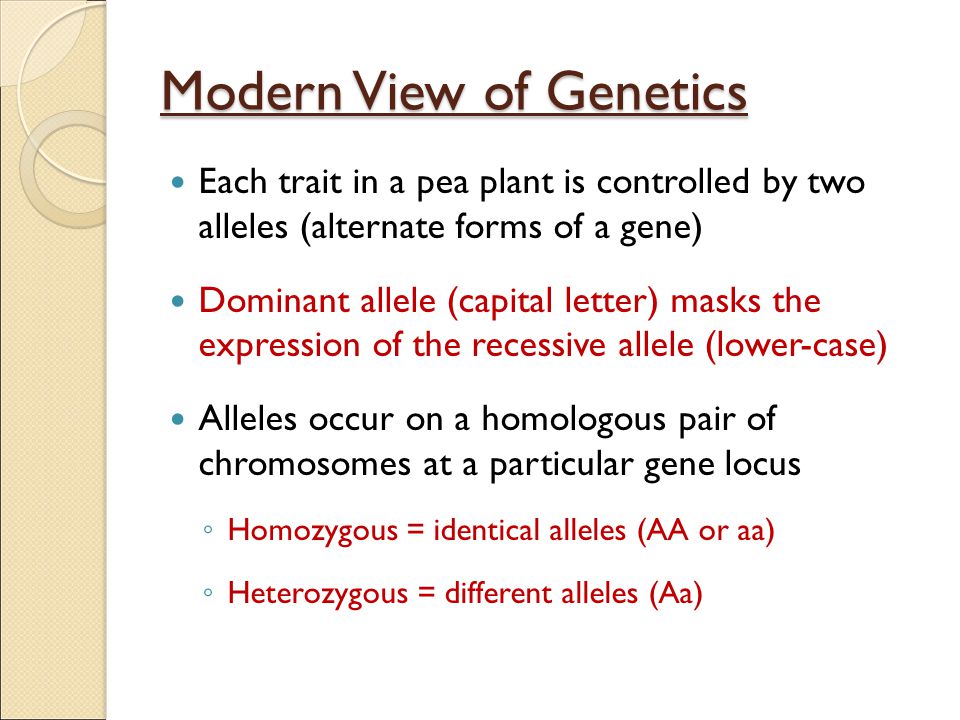 Modern View of Genetics