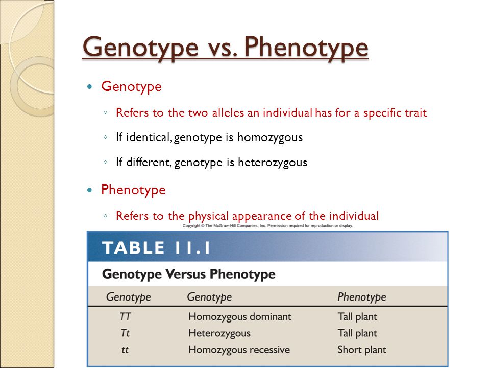 Genotype vs. Phenotype Genotype Phenotype