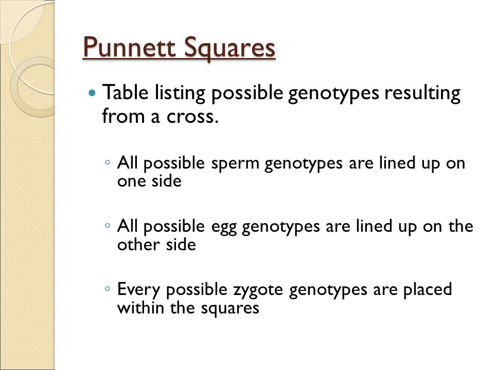 Punnett Squares Table listing possible genotypes resulting from a cross. All possible sperm genotypes are lined up on one side.