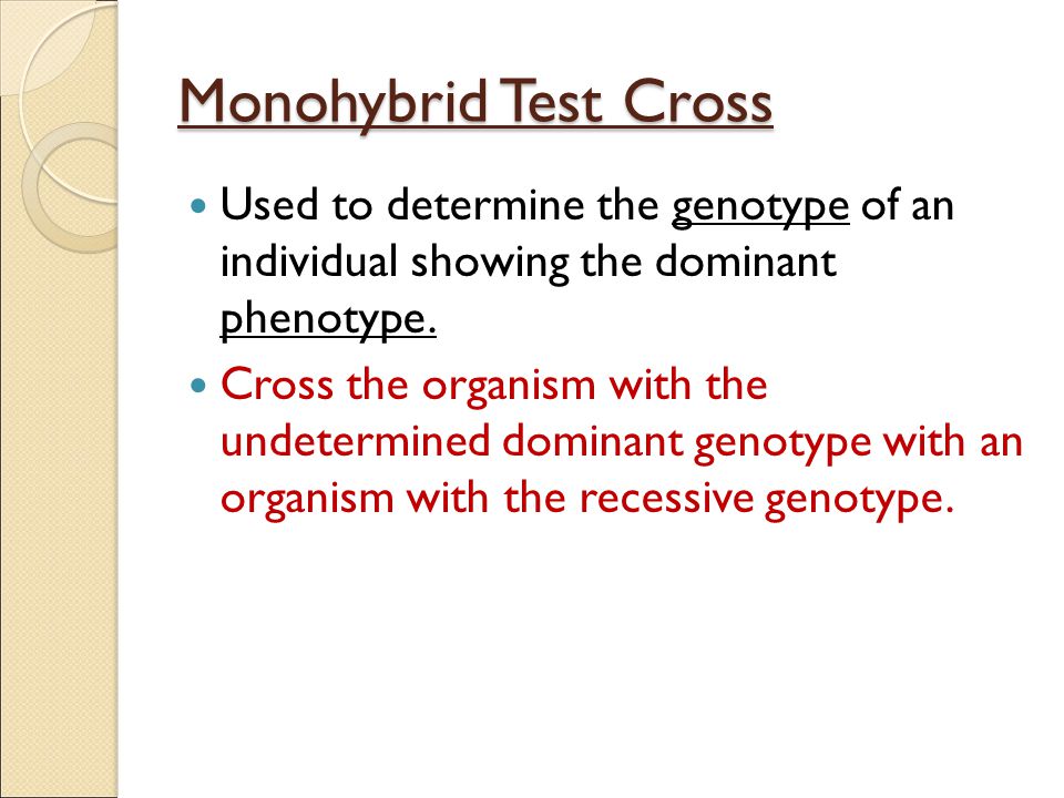 Monohybrid Test Cross Used to determine the genotype of an individual showing the dominant phenotype.