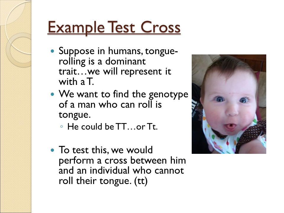 Example Test Cross Suppose in humans, tongue- rolling is a dominant trait…we will represent it with a T.