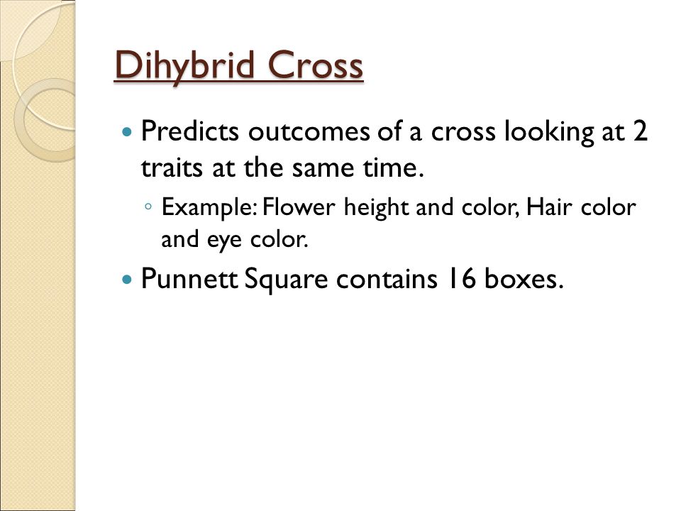 Dihybrid Cross Predicts outcomes of a cross looking at 2 traits at the same time. Example: Flower height and color, Hair color and eye color.