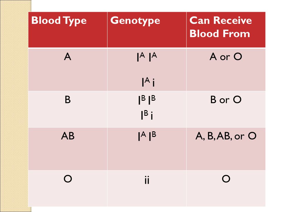 IA IA IA i IB IB IB i IA IB ii Blood Type Genotype