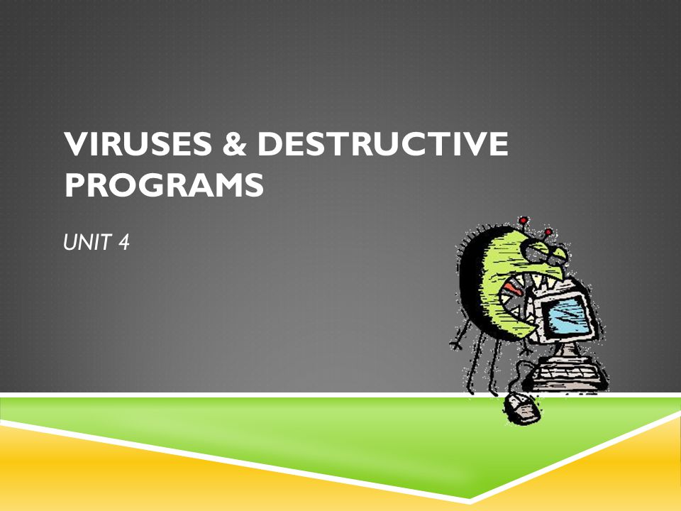 Viruses & Destructive Programs