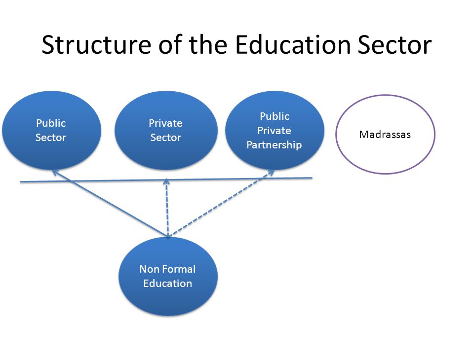 Structure of the Education Sector
