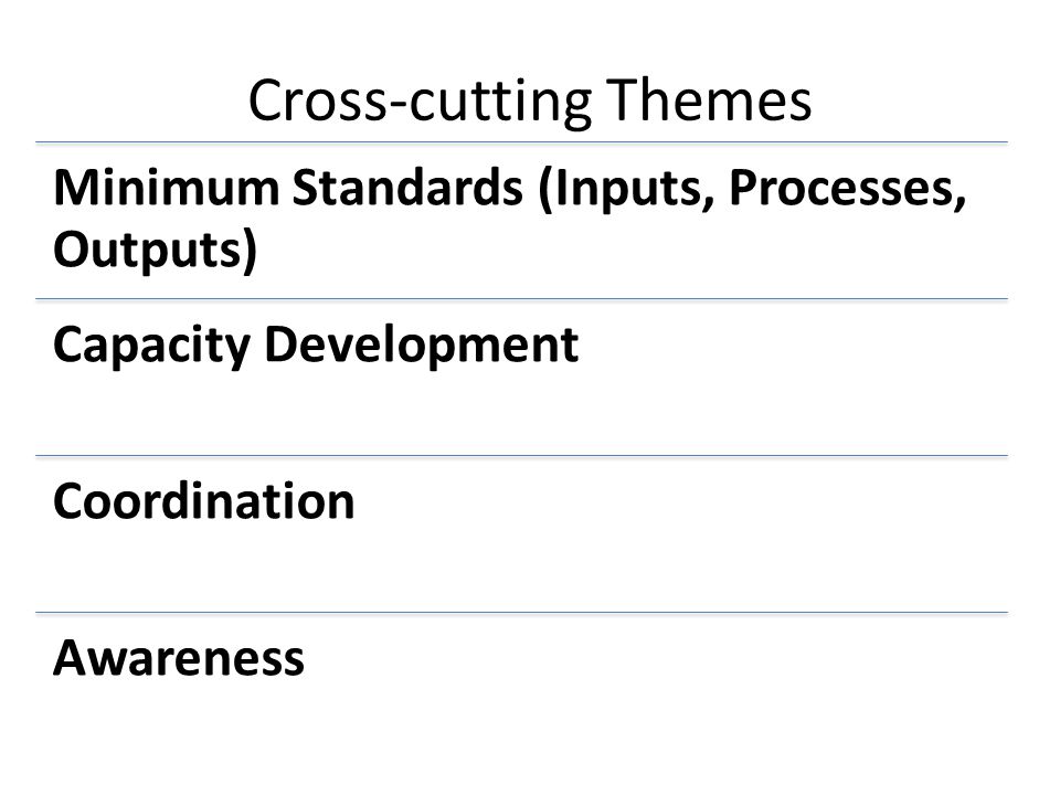 Cross-cutting Themes Minimum Standards (Inputs, Processes, Outputs)