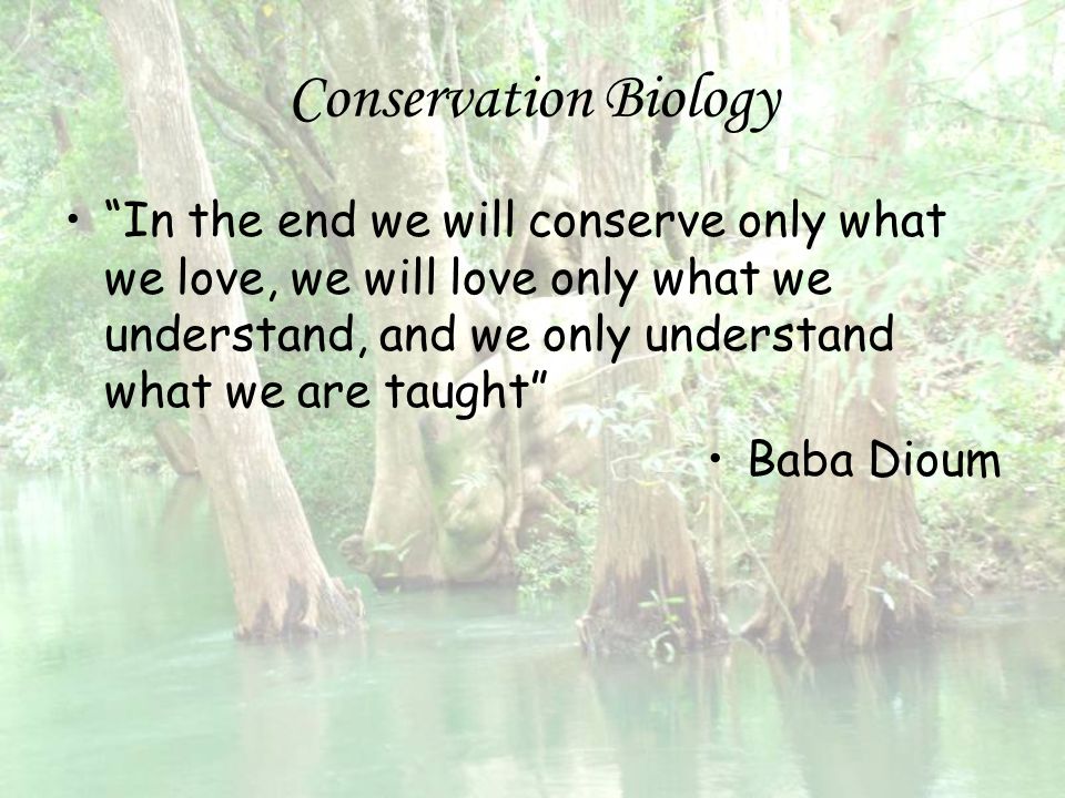 Conservation Biology In the end we will conserve only what we love, we will love only what we understand, and we only understand what we are taught