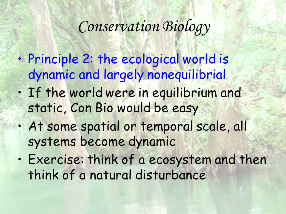 Conservation Biology Principle 2: the ecological world is dynamic and largely nonequilibrial.