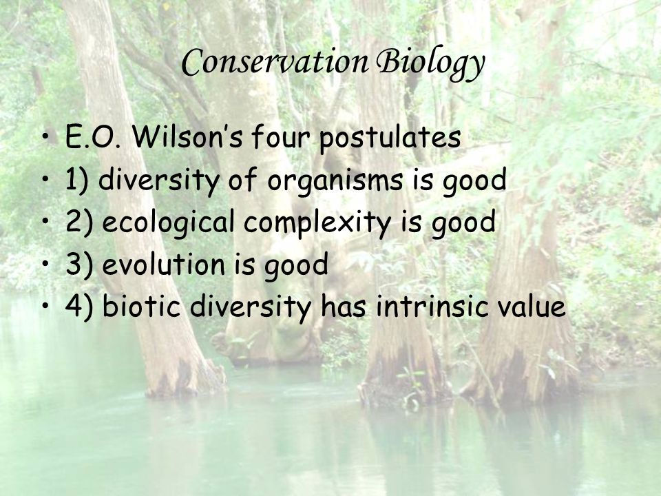 Conservation Biology E.O. Wilson’s four postulates