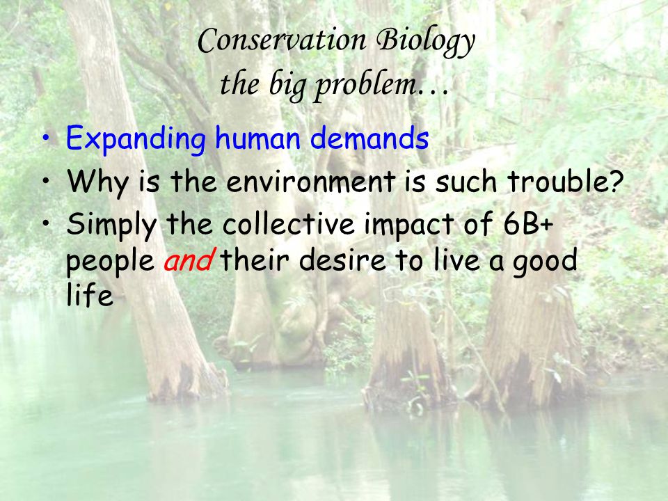 Conservation Biology the big problem…