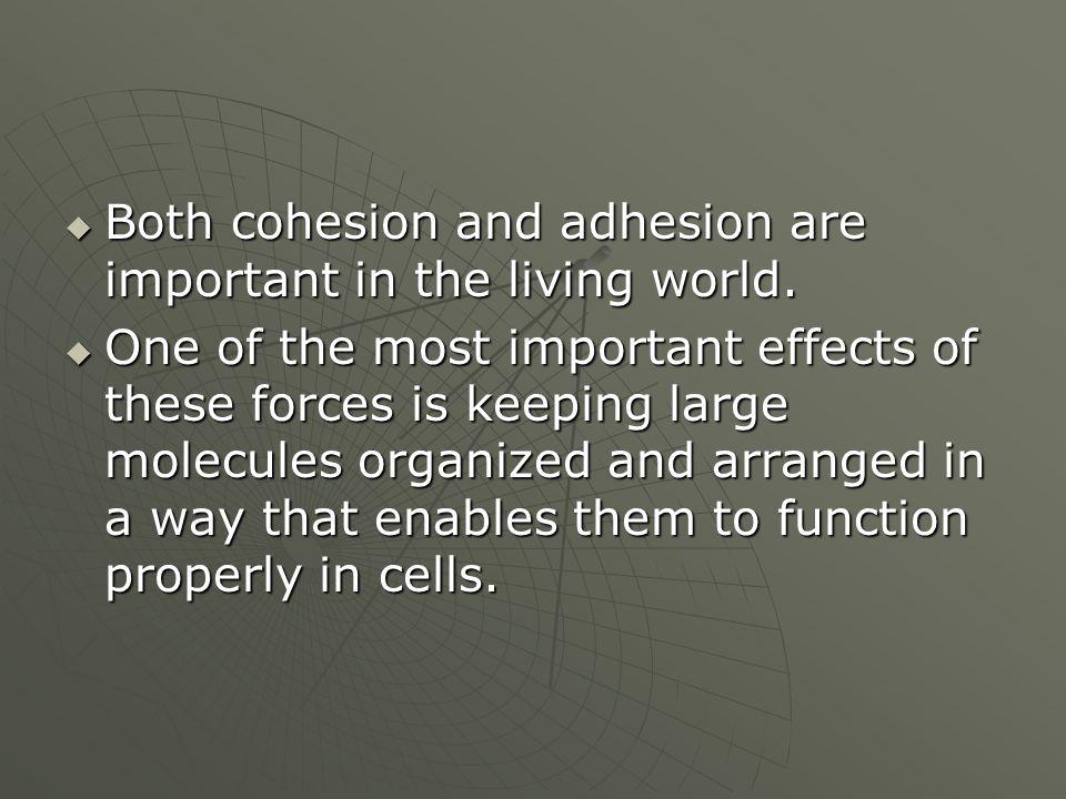 Both cohesion and adhesion are important in the living world.