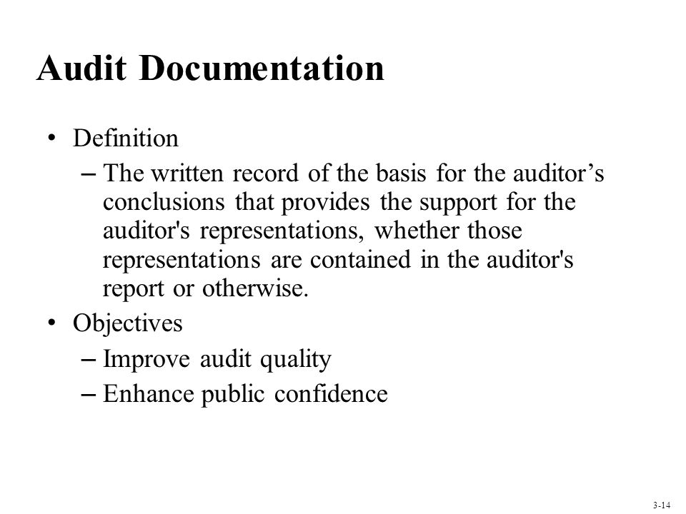 Audit Documentation Definition