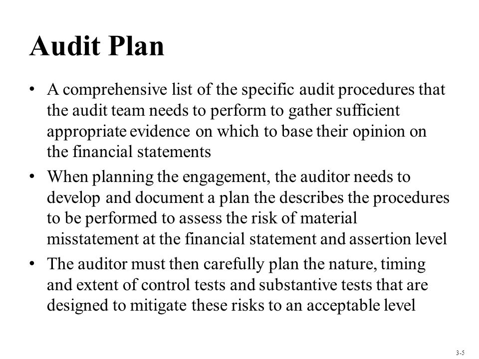Audit Plan
