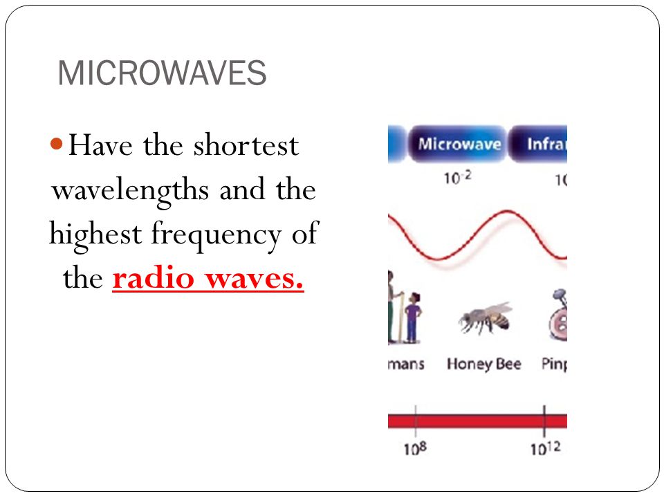 MICROWAVES Have the shortest wavelengths and the highest frequency of the radio waves.
