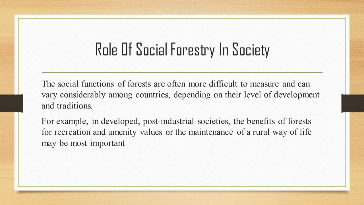 importance social forestry