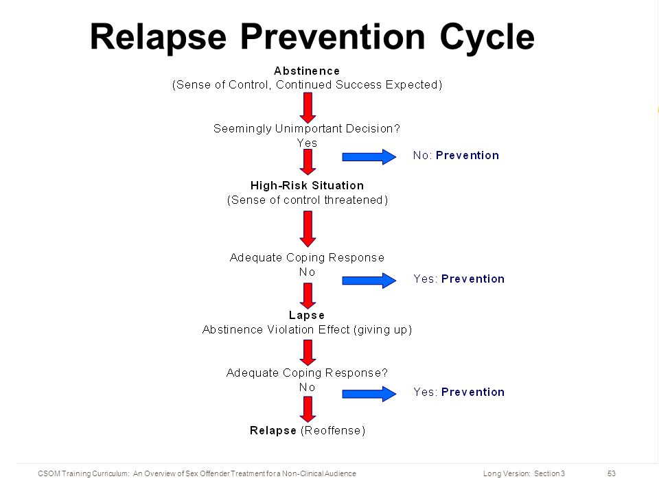 Relapse prevention, second edition