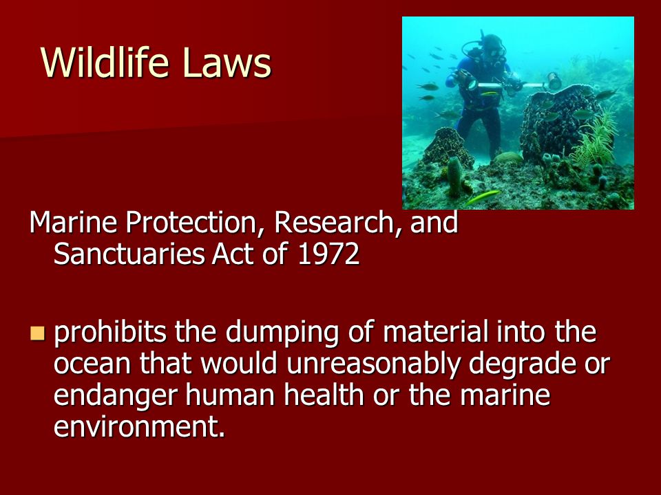 Wildlife Laws Marine Protection, Research, and Sanctuaries Act of 1972