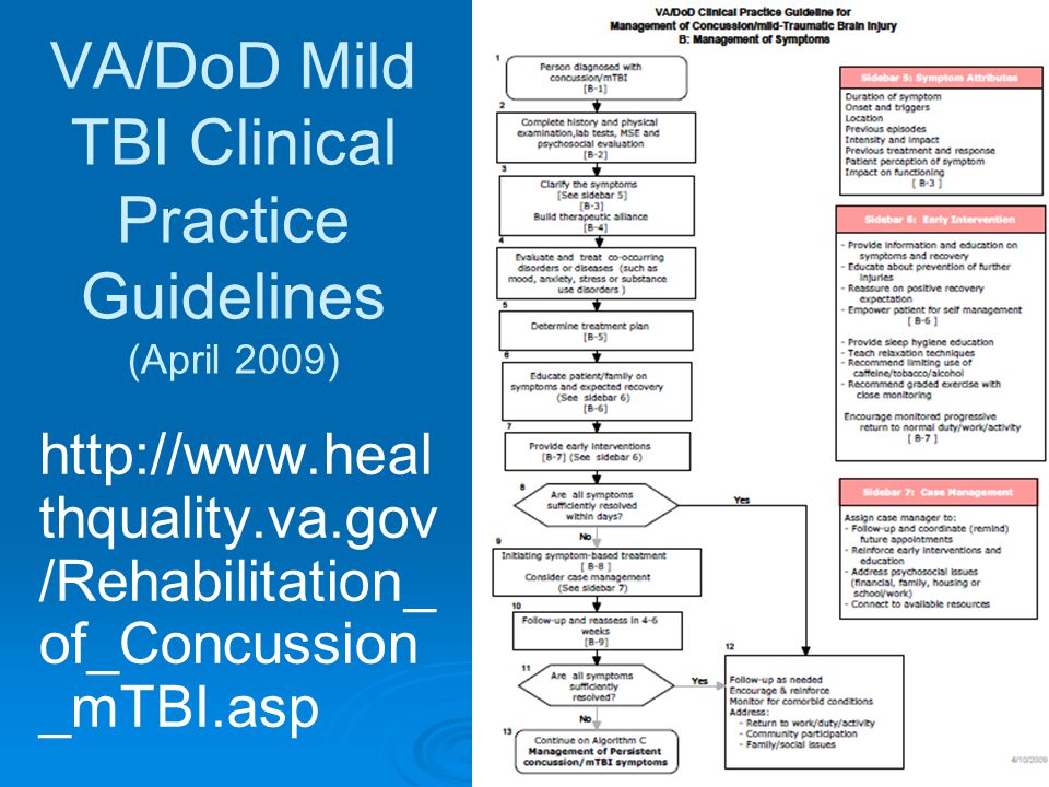 VA/DoD Mild TBI Clinical Practice Guidelines (April 2009)