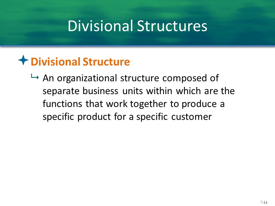 Divisional Structures