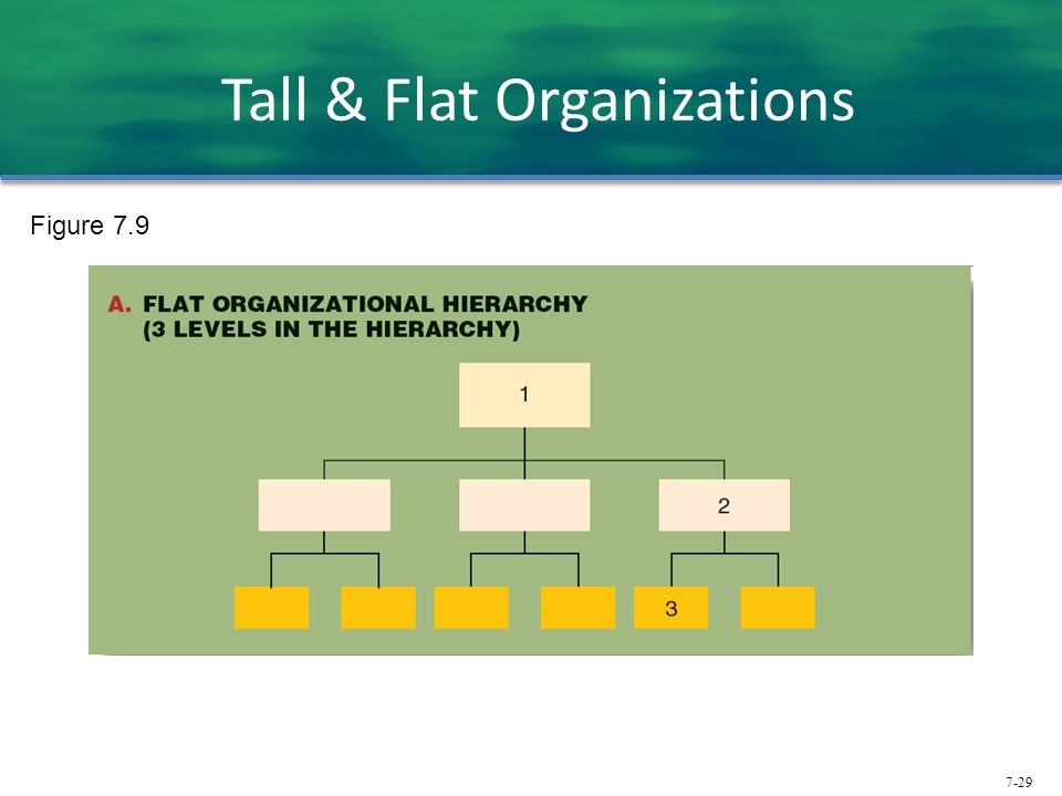Tall & Flat Organizations