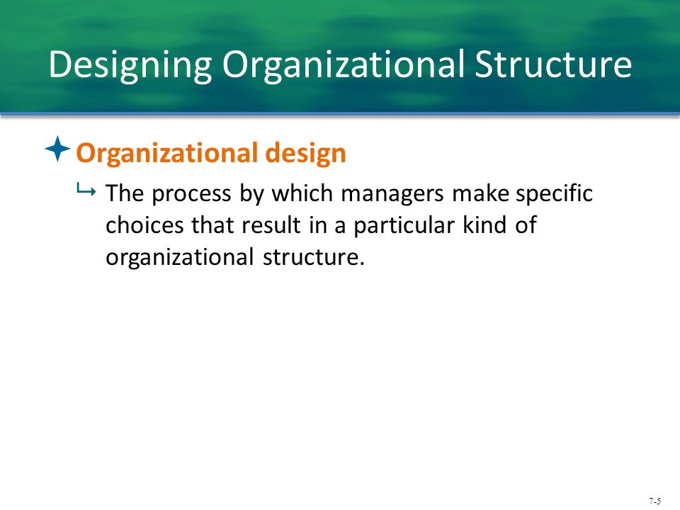 Designing Organizational Structure