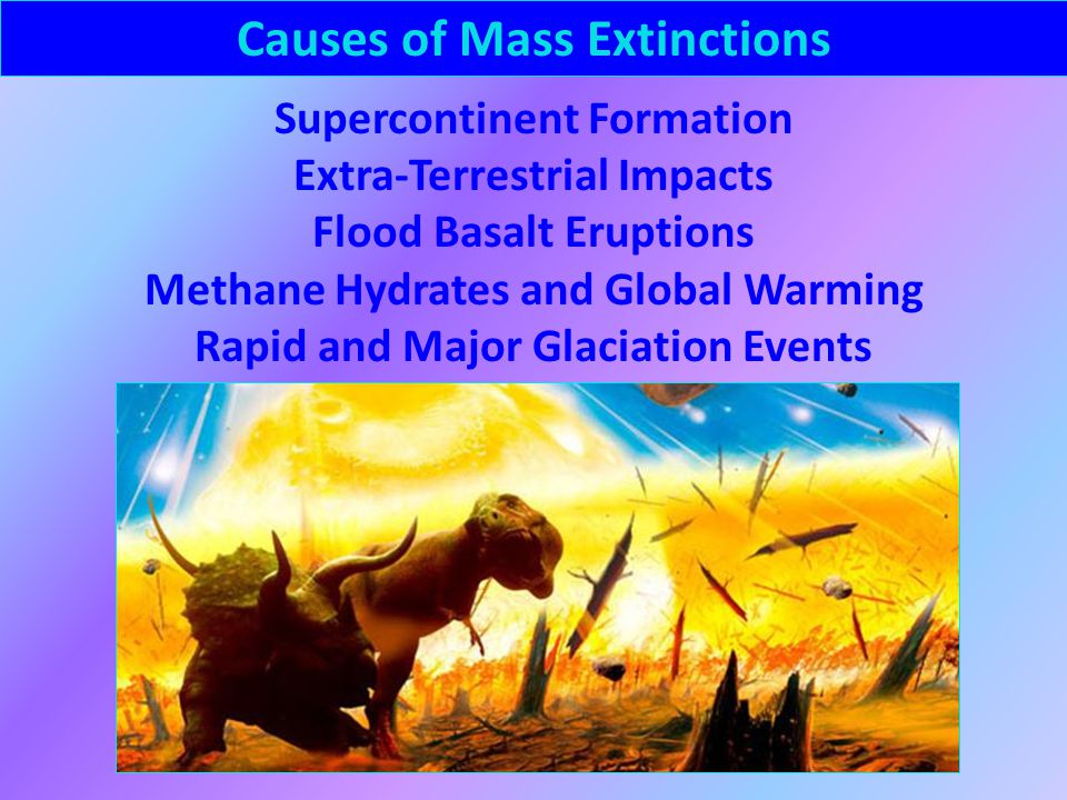 Causes of Mass Extinctions