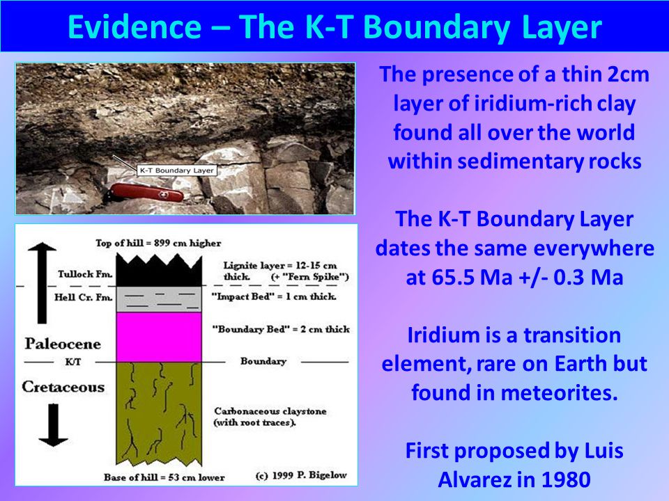 Evidence – The K-T Boundary Layer
