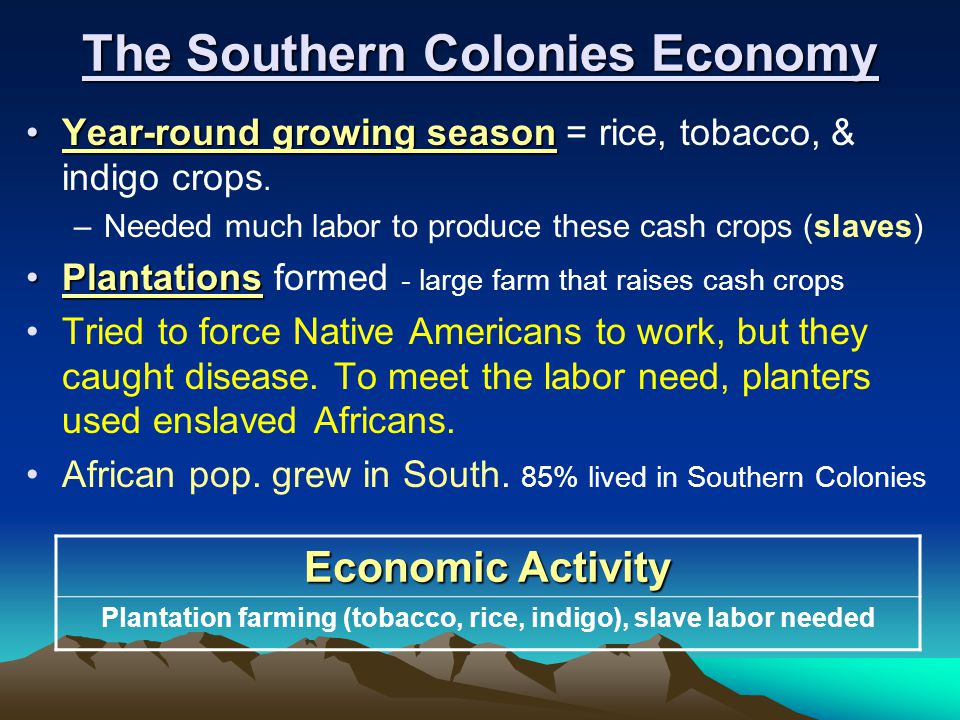 what was the main economic activity in the southern colonies