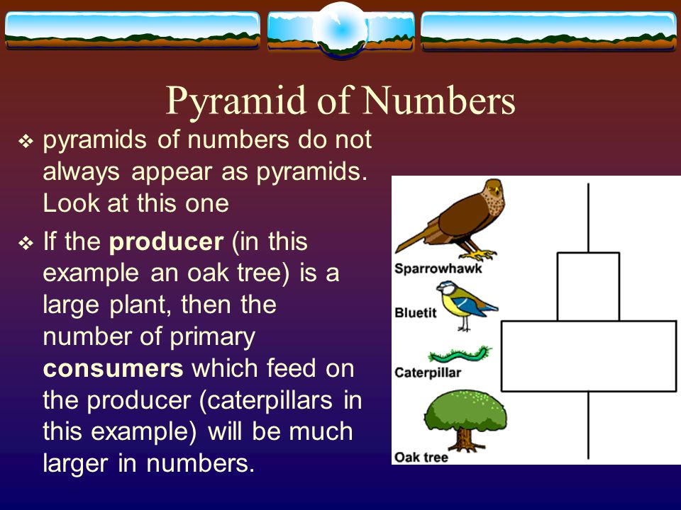 Pyramid of Numbers pyramids of numbers do not always appear as pyramids. Look at this one.