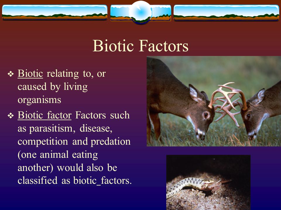 Biotic Factors Biotic relating to, or caused by living organisms