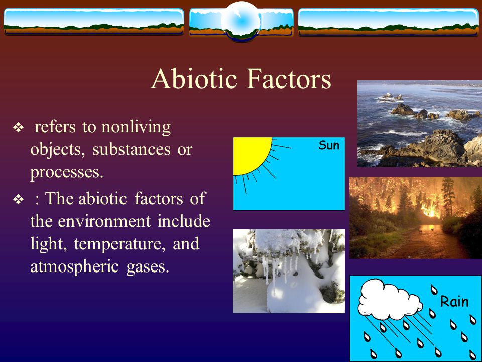 Abiotic Factors refers to nonliving objects, substances or processes.