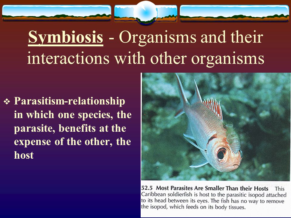 Symbiosis - Organisms and their interactions with other organisms