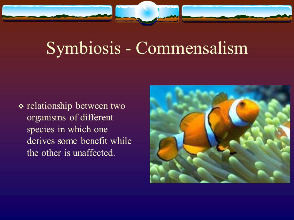 Symbiosis - Commensalism
