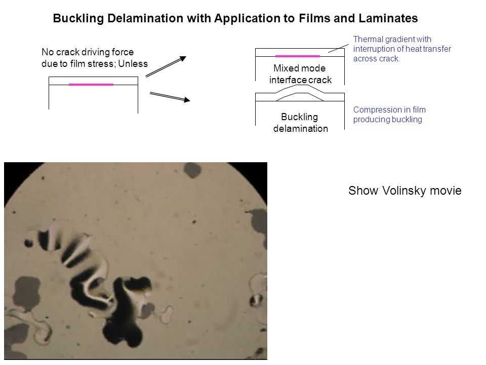 Buckling Delamination with Application to Films and Laminates