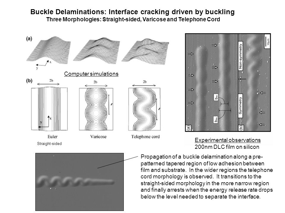 Buckle Delaminations: Interface cracking driven by buckling