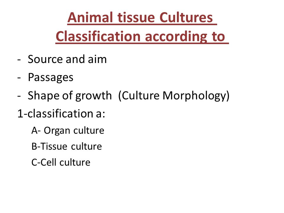 Animal cell culture Lecture 1 Introduction - ppt video online download Animal cell culture Lecture 1 Introduction - ppt video online download