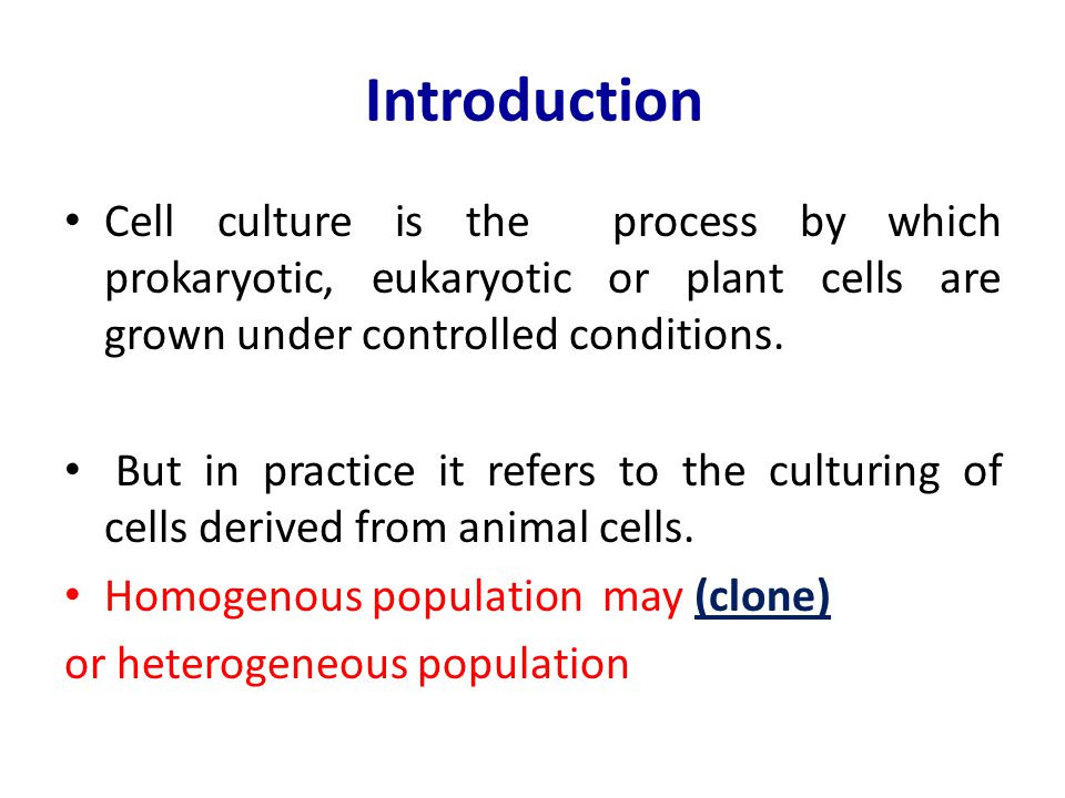Animal cell culture Lecture 1 Introduction - ppt video online download