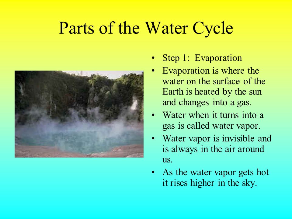 Parts of the Water Cycle