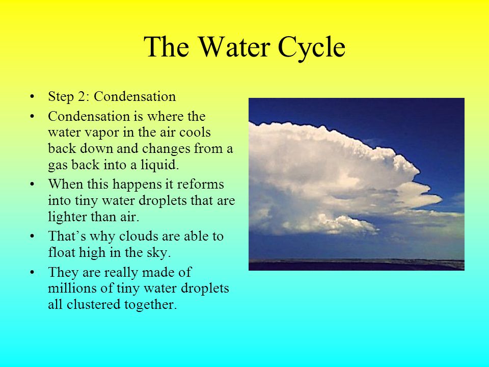 The Water Cycle Step 2: Condensation