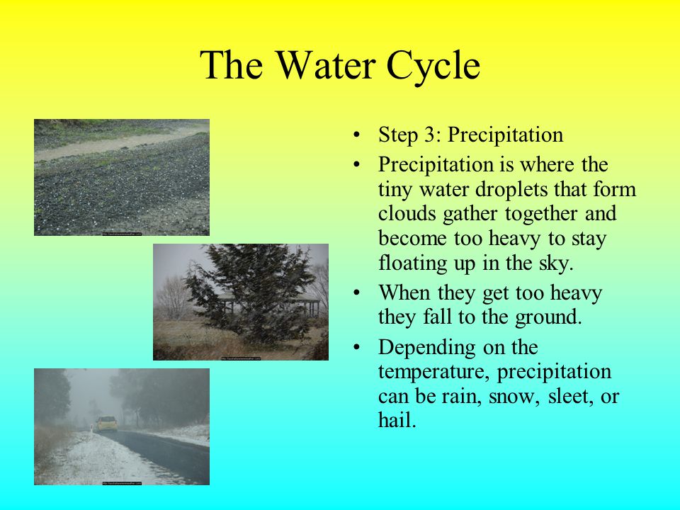 The Water Cycle Step 3: Precipitation