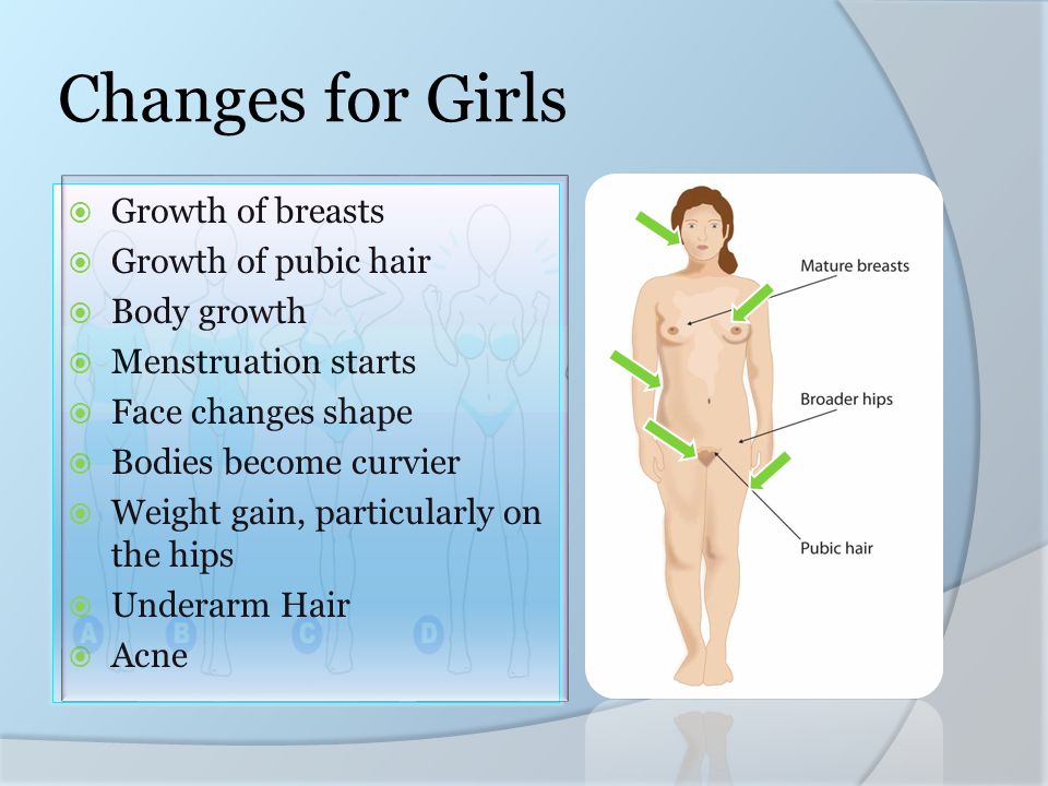 Human Body Changes Towards An Adult Body - ppt video online download