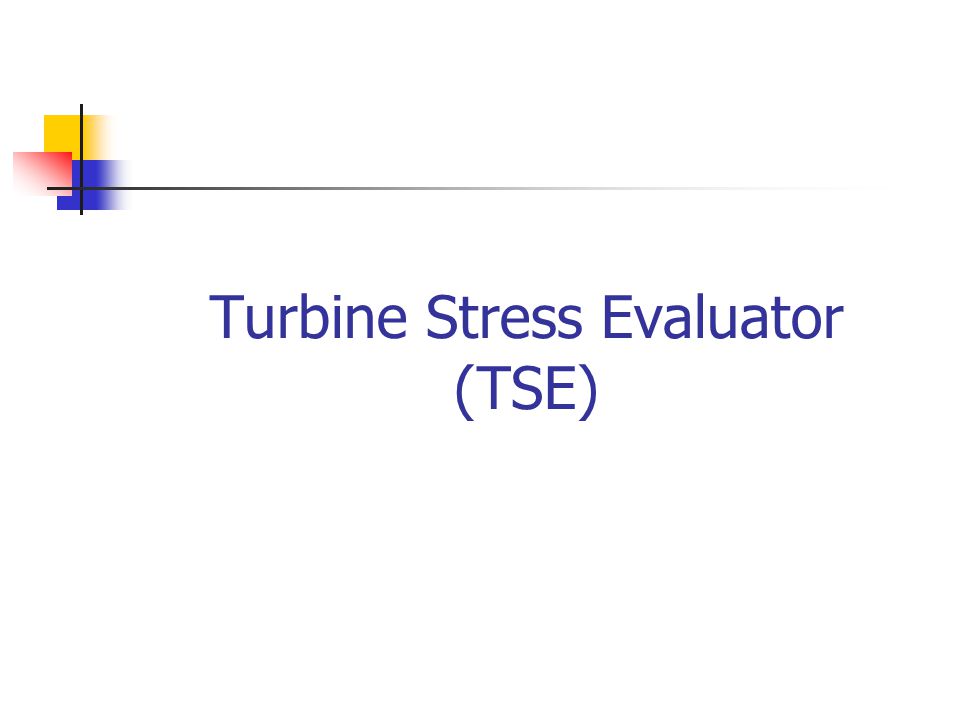 Turbine Stress Evaluator (TSE)